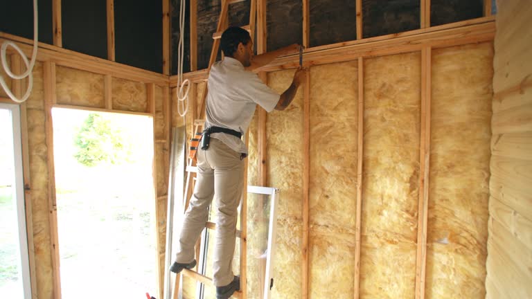 Best Spray Foam Insulation  in USA